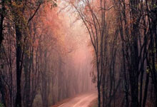 蜂鸟竞技官网：从运动员到裁判员 “解锁”新身份的她有哪些特别感受？央视新闻客户端.