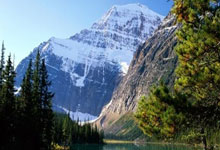 阿诺德完美替代者！这是万比萨卡与阿尔维斯结合体.