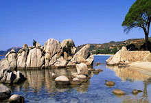 蜂鸟竞技官网：辽鲁大战前瞻！弗格+山东双小外状态成关键，双方都存X因素！.